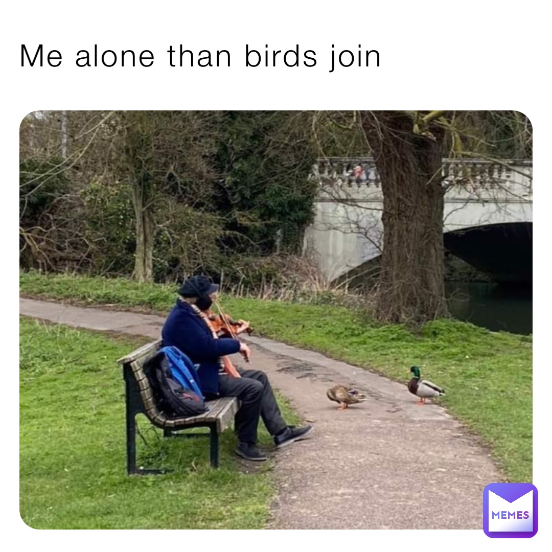 Me alone than birds join