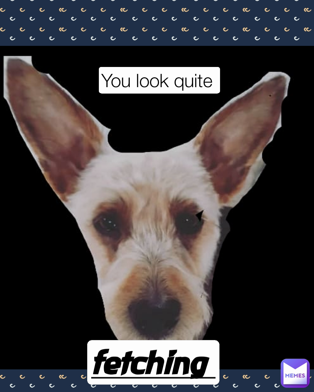 fetching  You look quite 