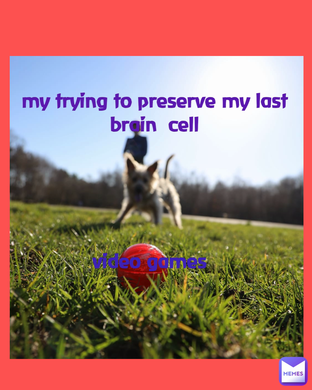 my trying to preserve my last brain  cell video games