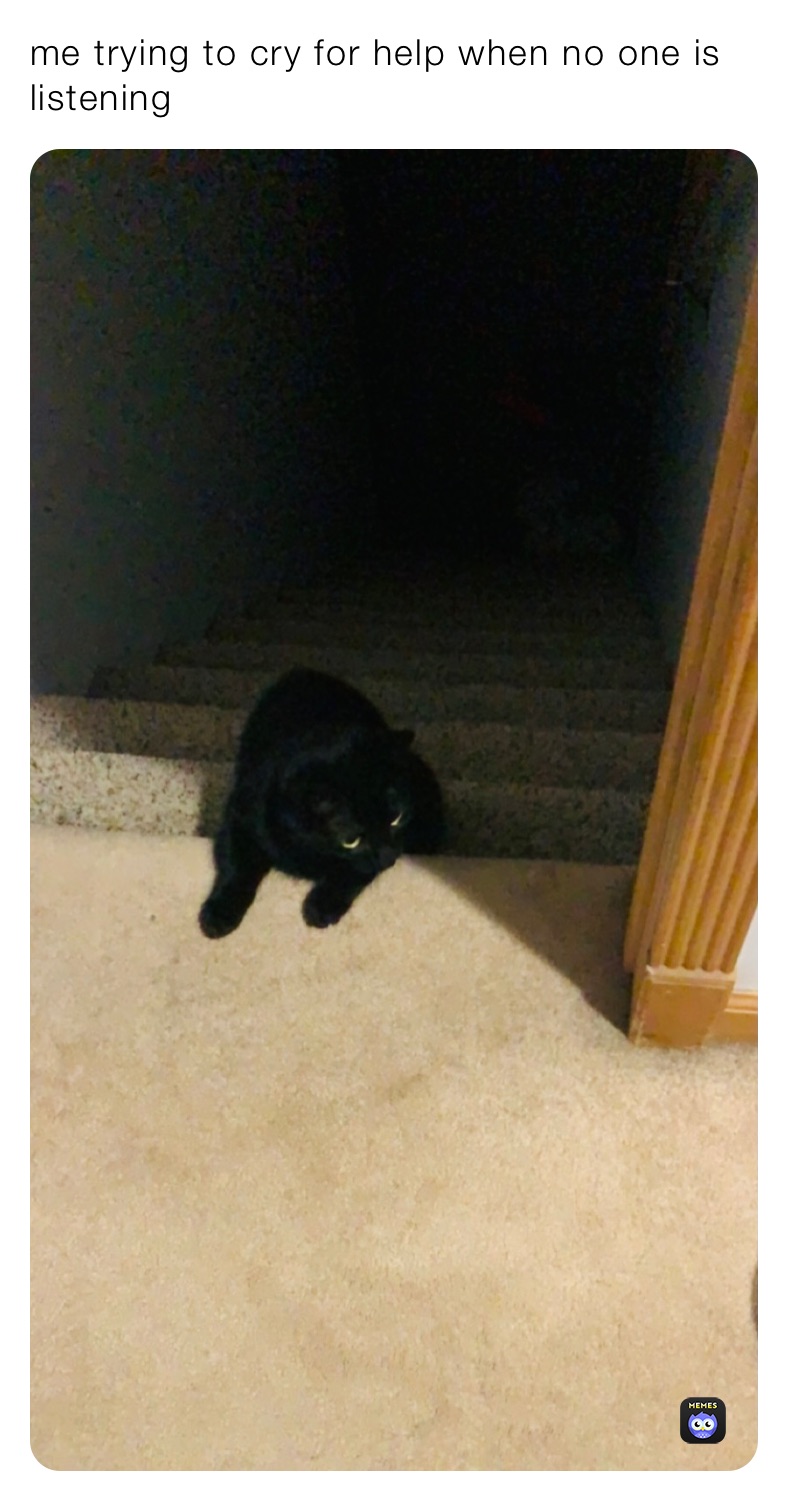 Meme by faith-olivarri