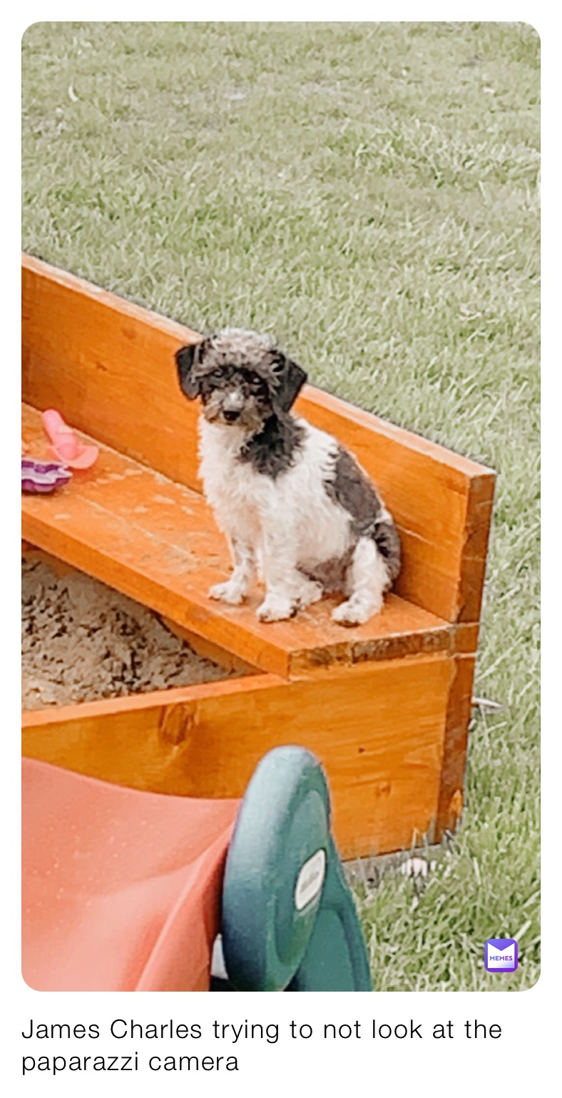 Meme by faith-olivarri