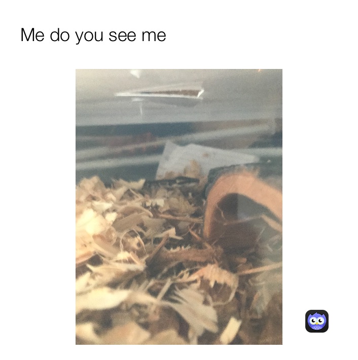 Meme by carmenortiz06101991