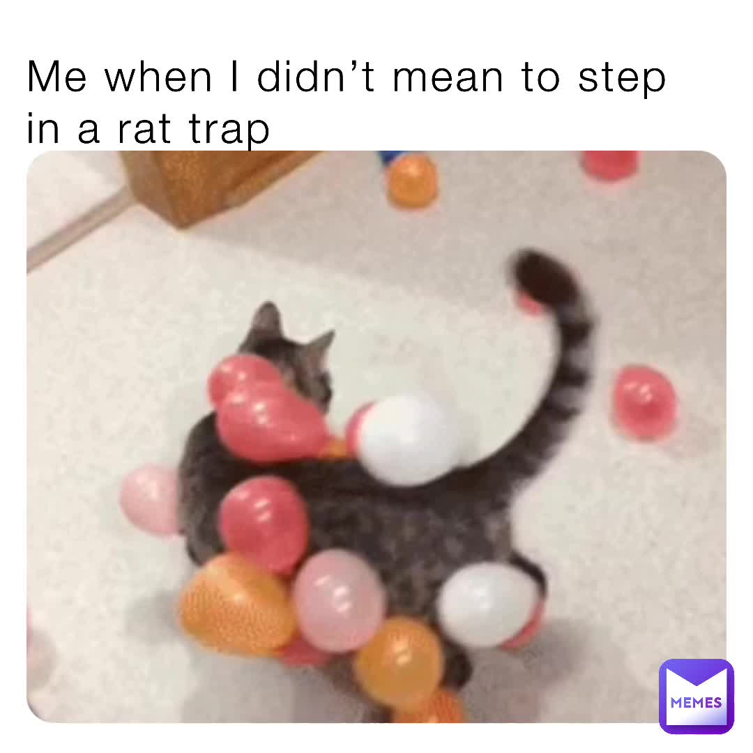 Meme shared by @insert_memes