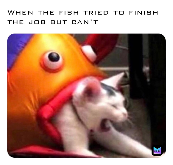 When the fish tried to finish the job but can’t