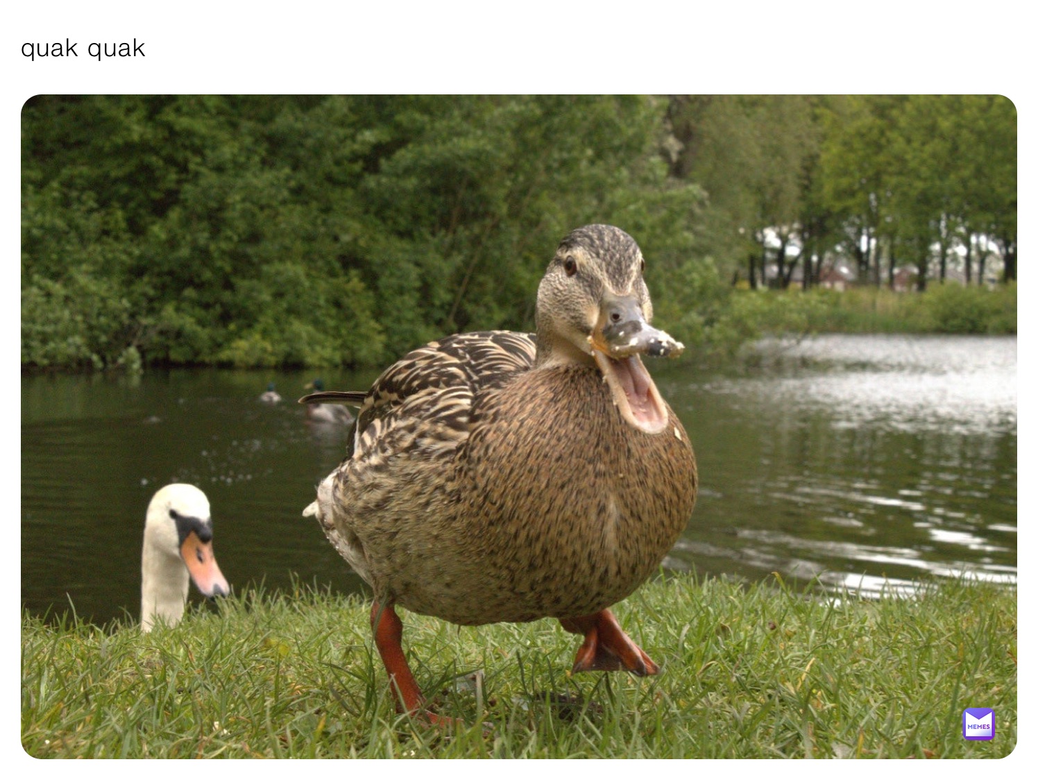 Meme by MemeMaster269