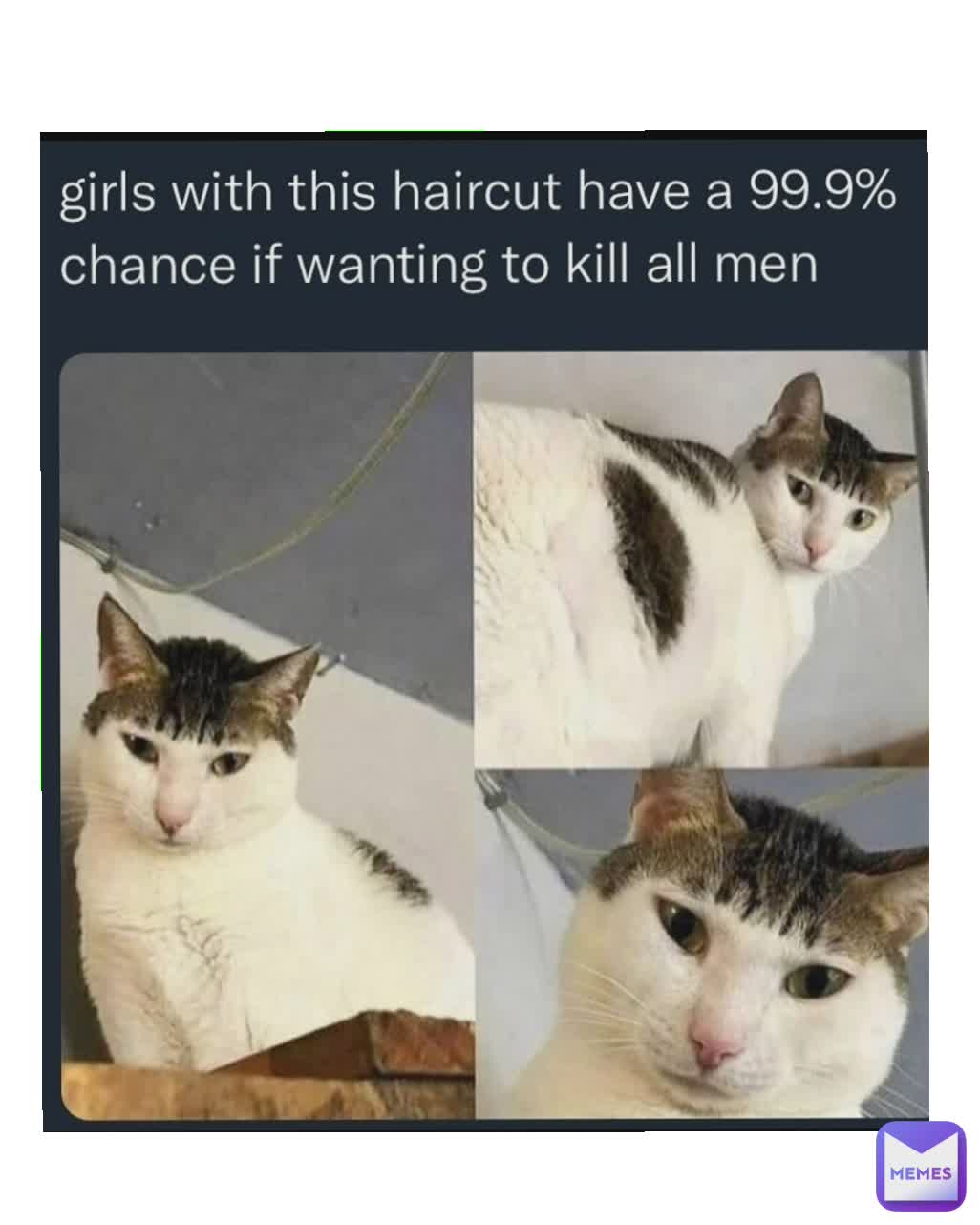 Meme by catherineamyot