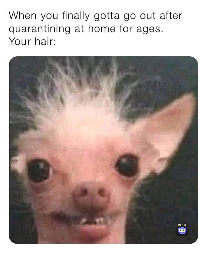 Meme by thedog.comedian