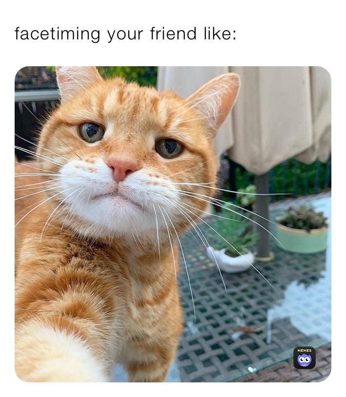 Meme by thedog.comedian