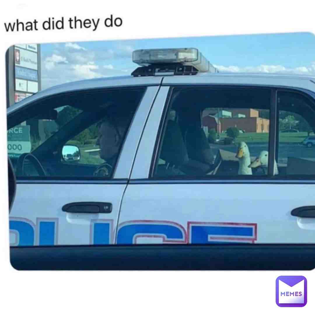 #untitledgoosegame
