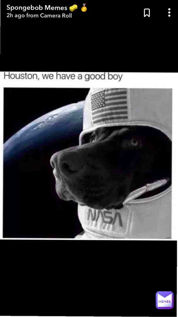 Meme shared by @teethpaste