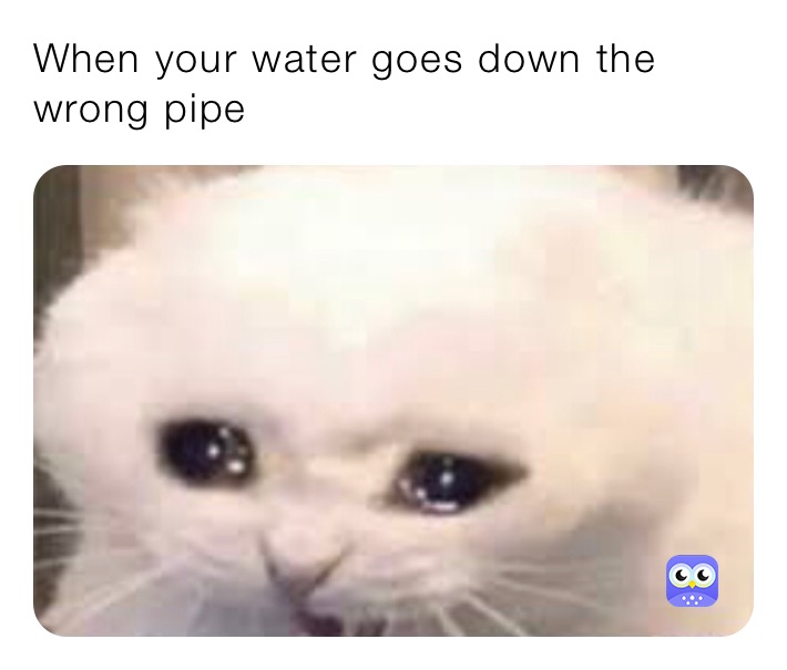 When your water goes down the wrong pipe