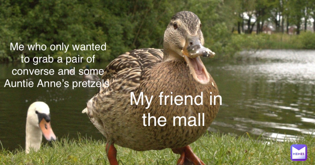 My friend in the mall Me who only wanted to grab a pair of converse and some Auntie Anne’s pretzels My friend in the mall Me who only wanted to grab a pair of converse and some Auntie Anne’s pretzels