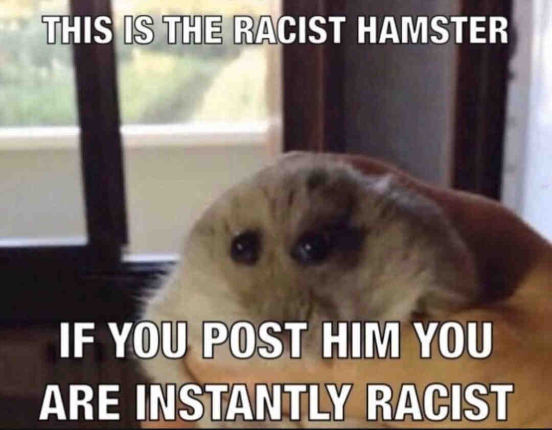 Meme shared by @Zombeans