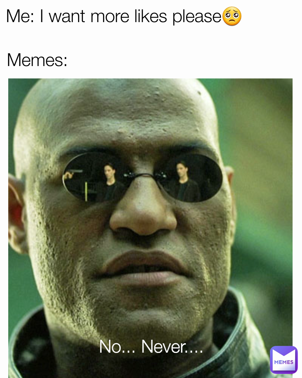 Memes: Me: I want more likes please🥺 No... Never.... 