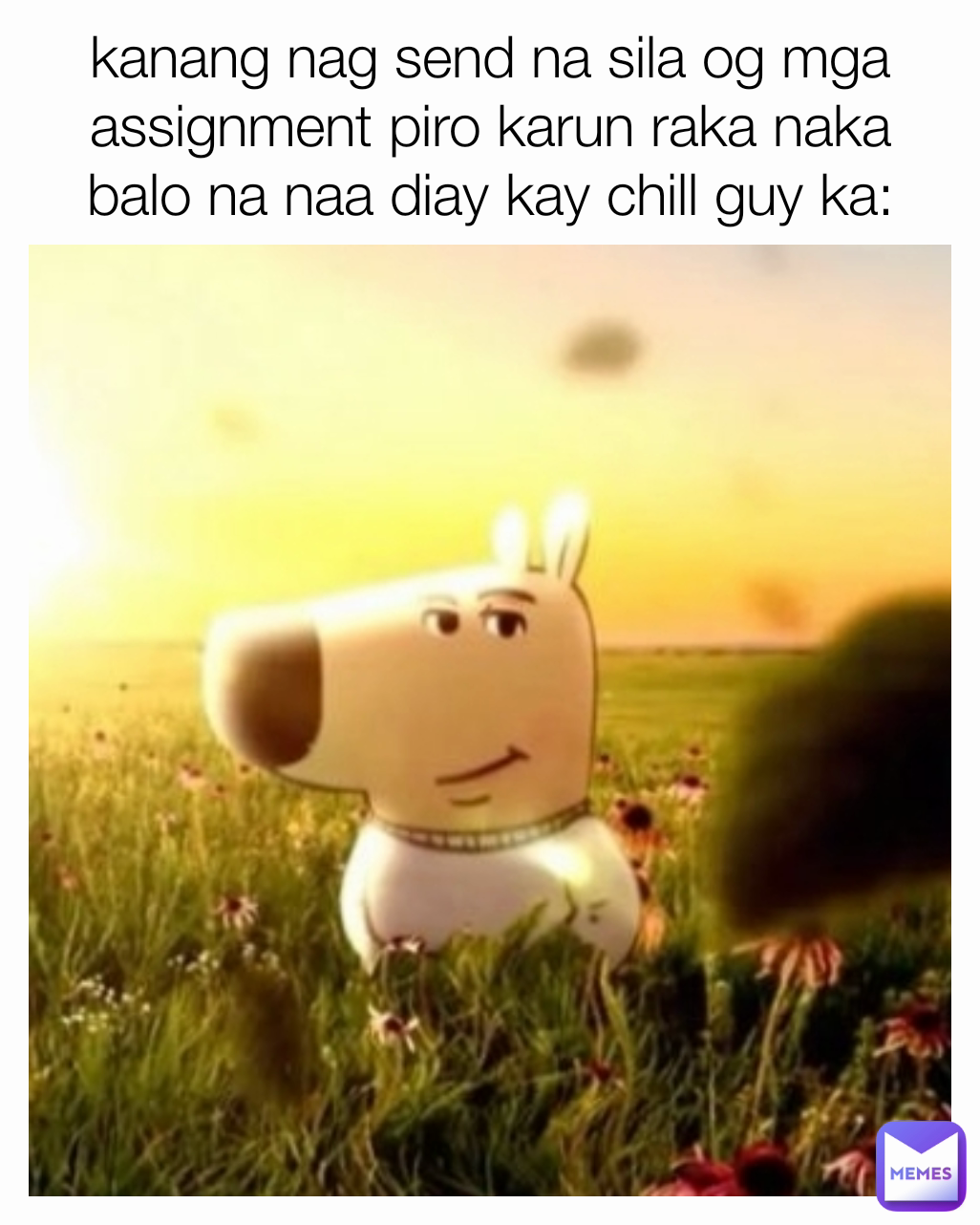 kanang nag send na sila og mga assignment piro karun raka naka balo na naa diay kay chill guy ka: