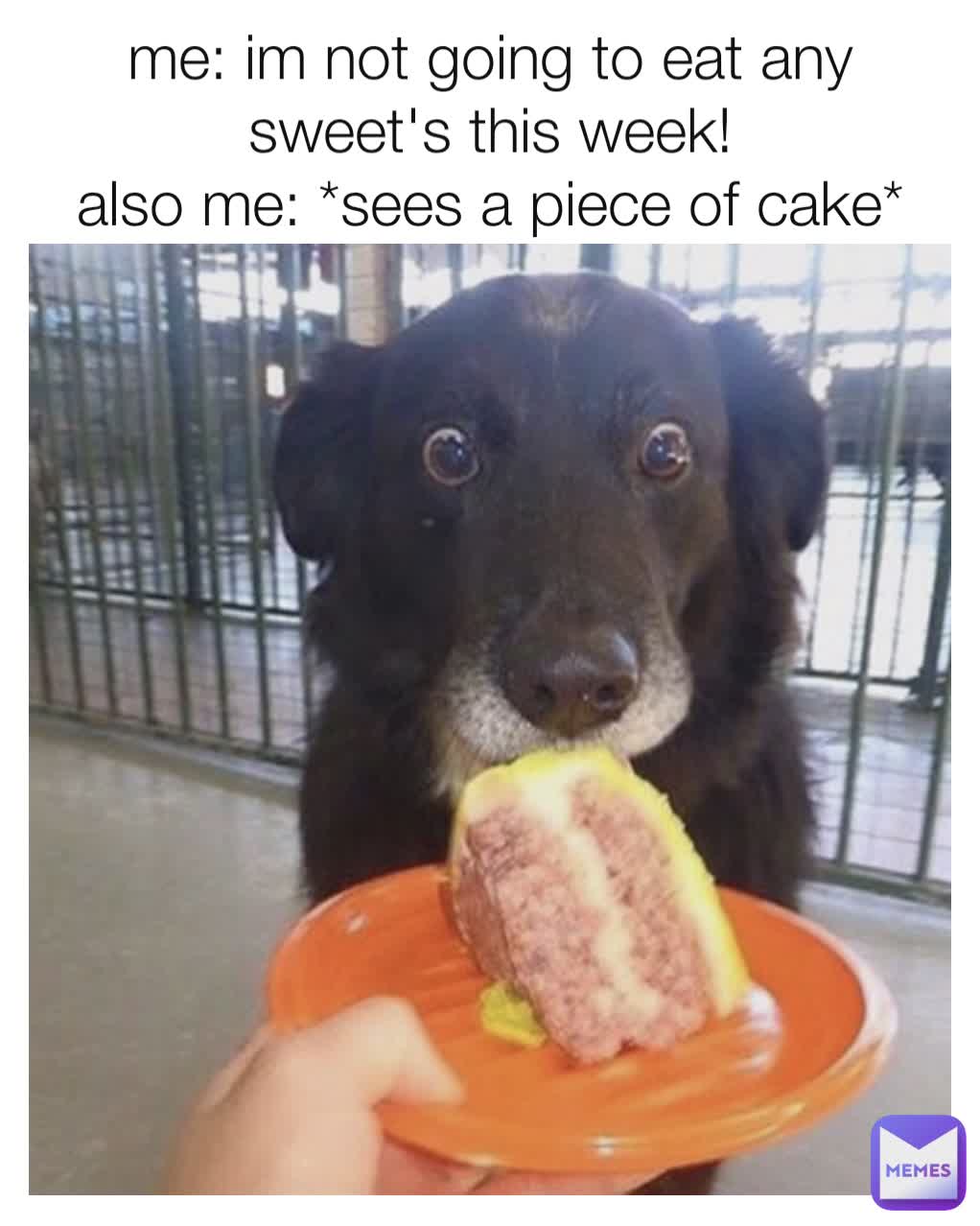 whhen your on a diet but there was cake - Dump A Day