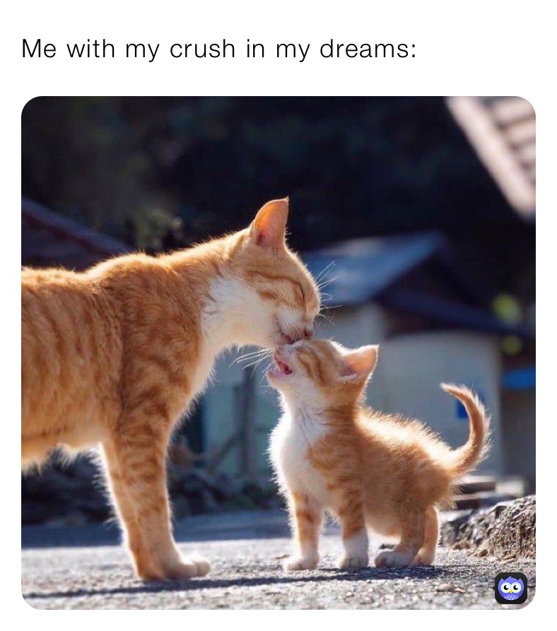 Me with my crush in my dreams: