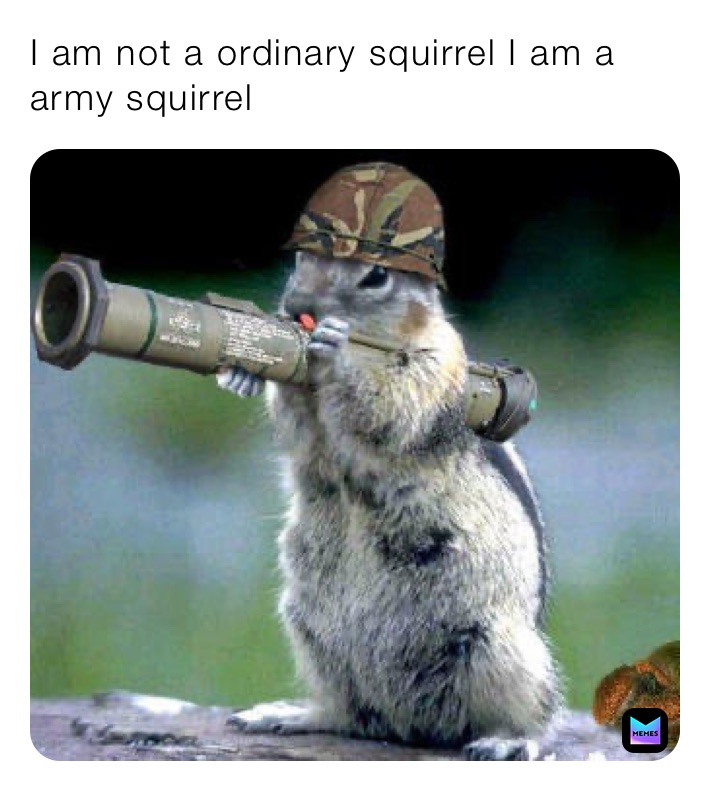 I am not a ordinary squirrel I am a army squirrel￼