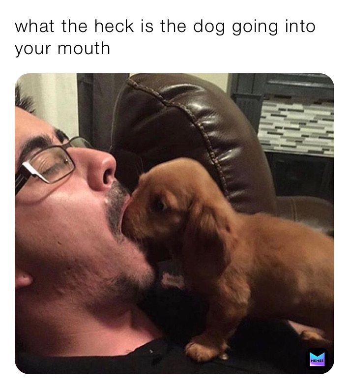 what the heck is the dog going into your mouth￼