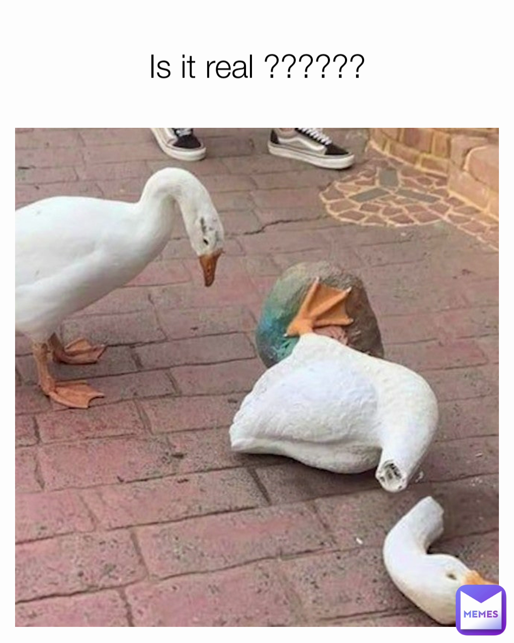 Meme by FREEGUY3150X