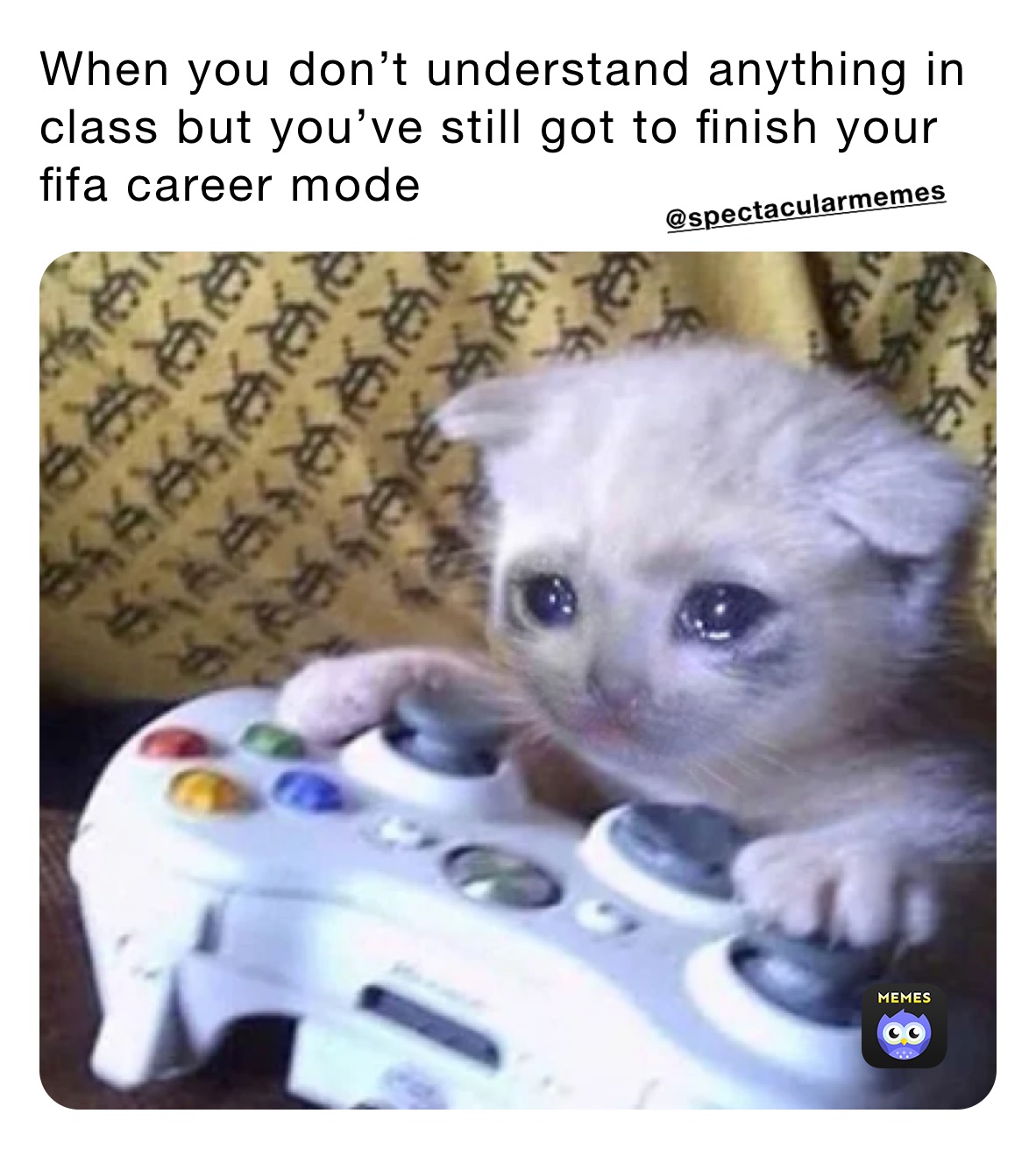 When you don’t understand anything in class but you’ve still got to finish your fifa career mode