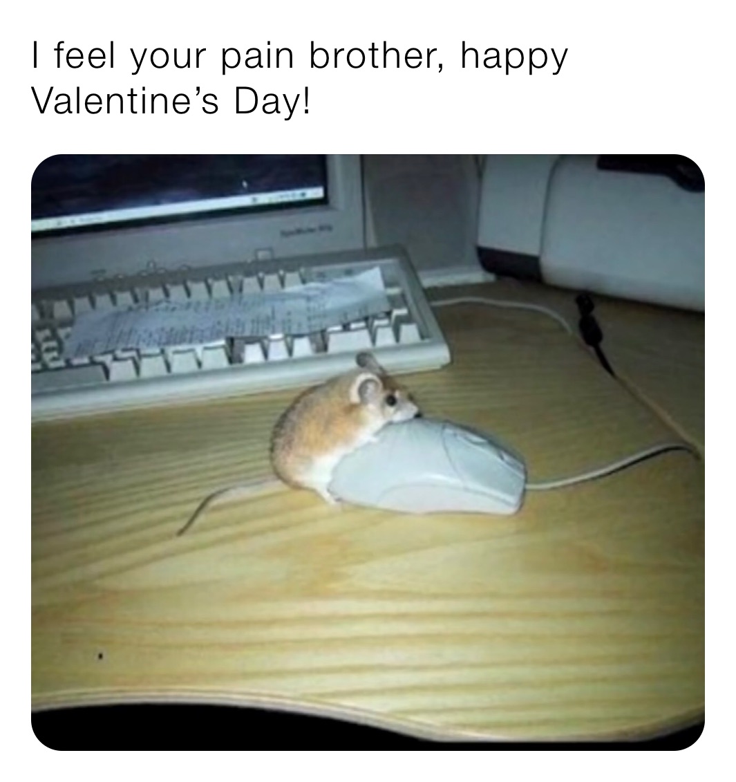 I feel your pain brother, happy Valentine’s Day! 