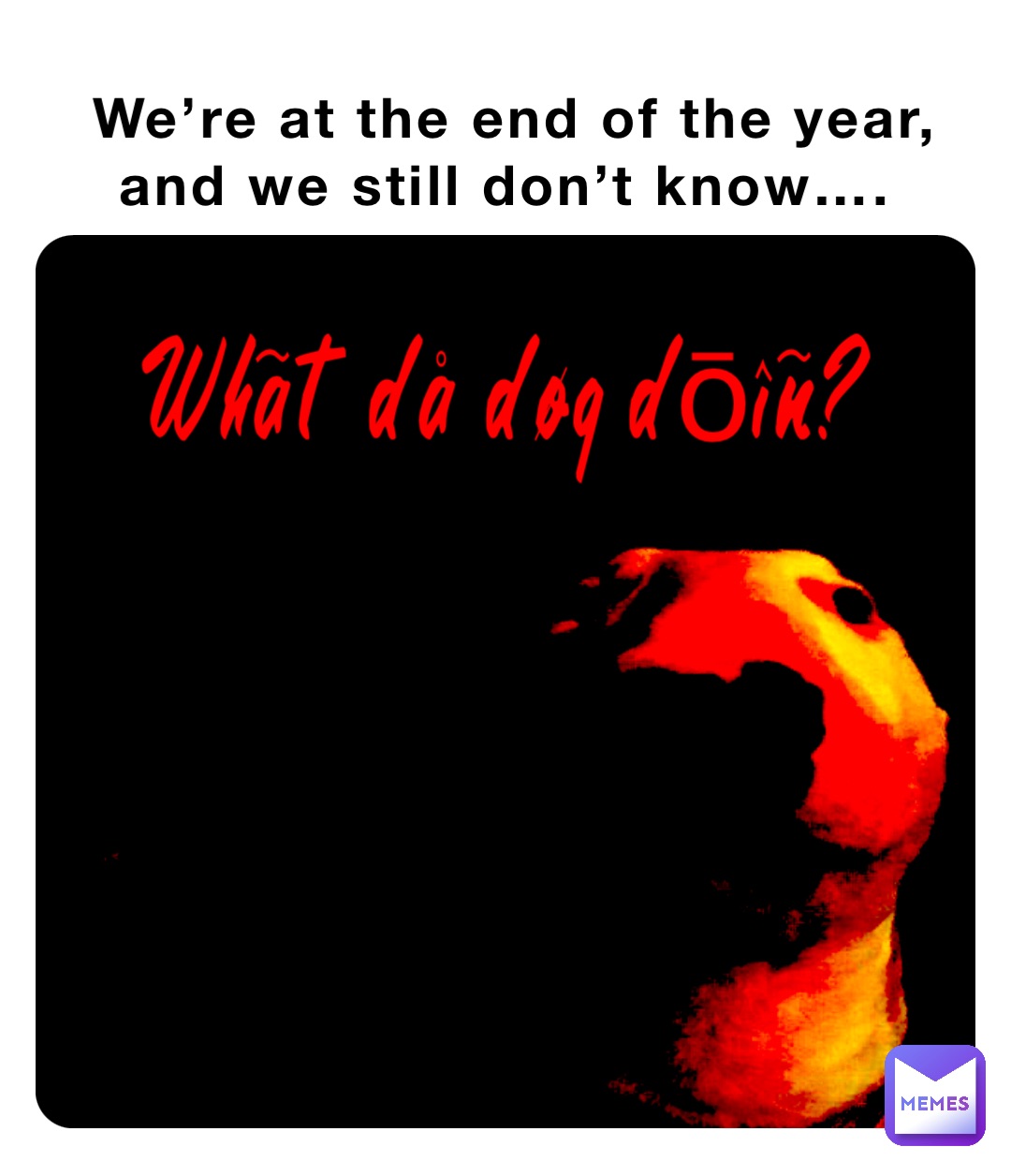 We’re at the end of the year, and we still don’t know…. Whãt då døg dōîñ?
