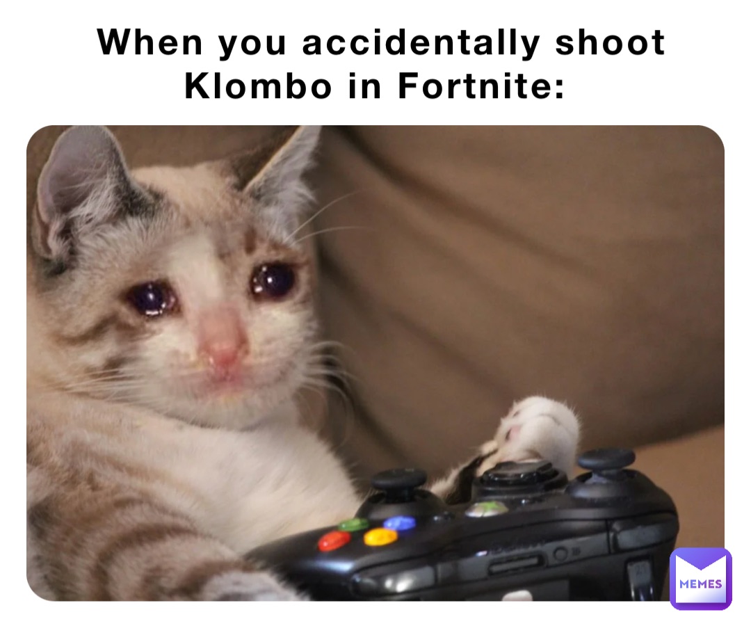When you accidentally shoot Klombo in Fortnite: