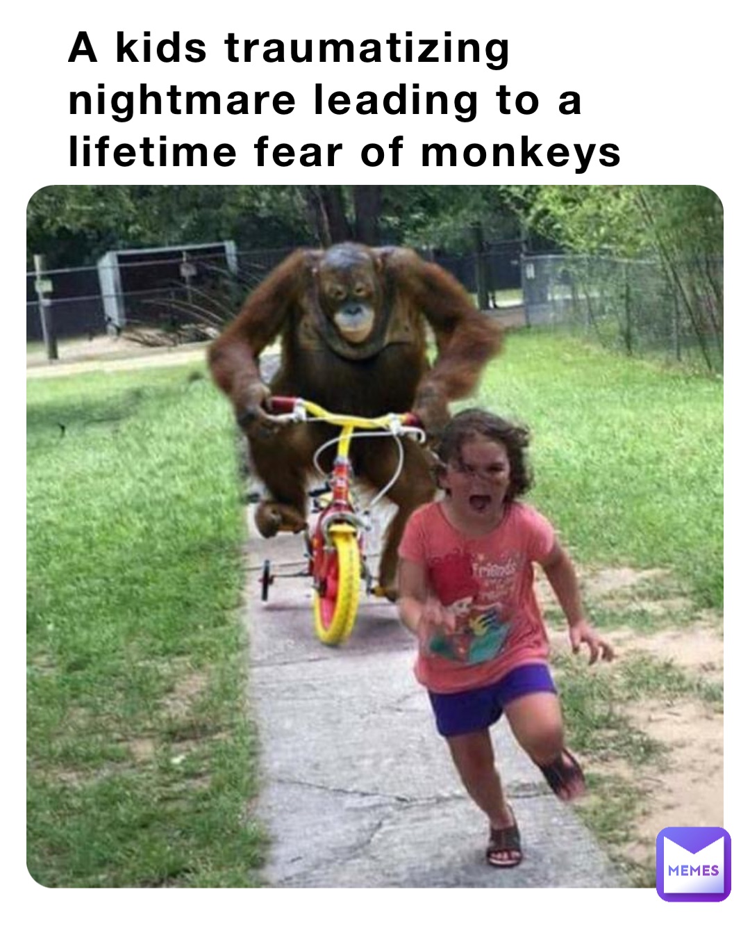 A kids traumatizing nightmare leading to a lifetime fear of monkeys