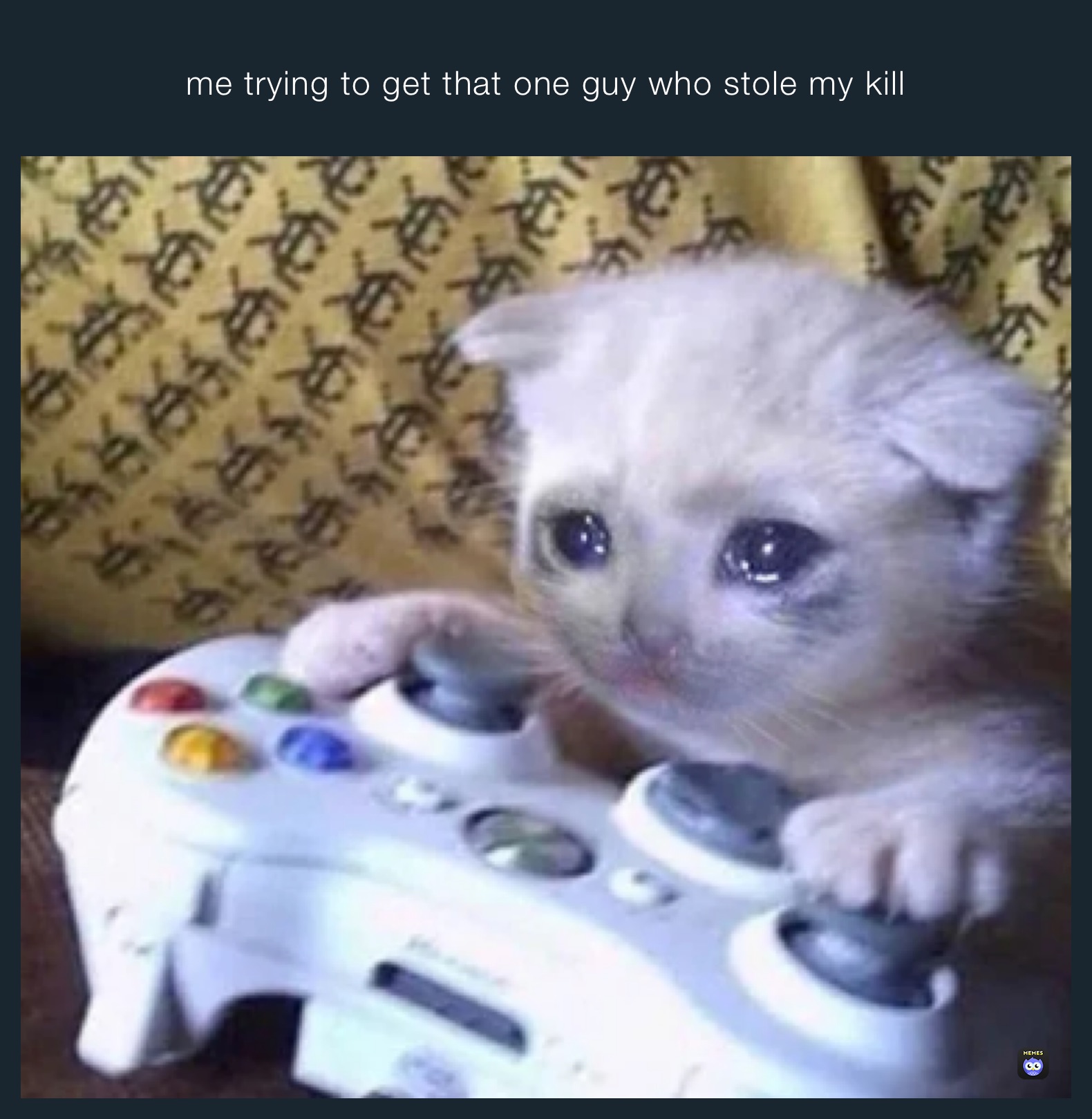 me trying to get that one guy who stole my kill