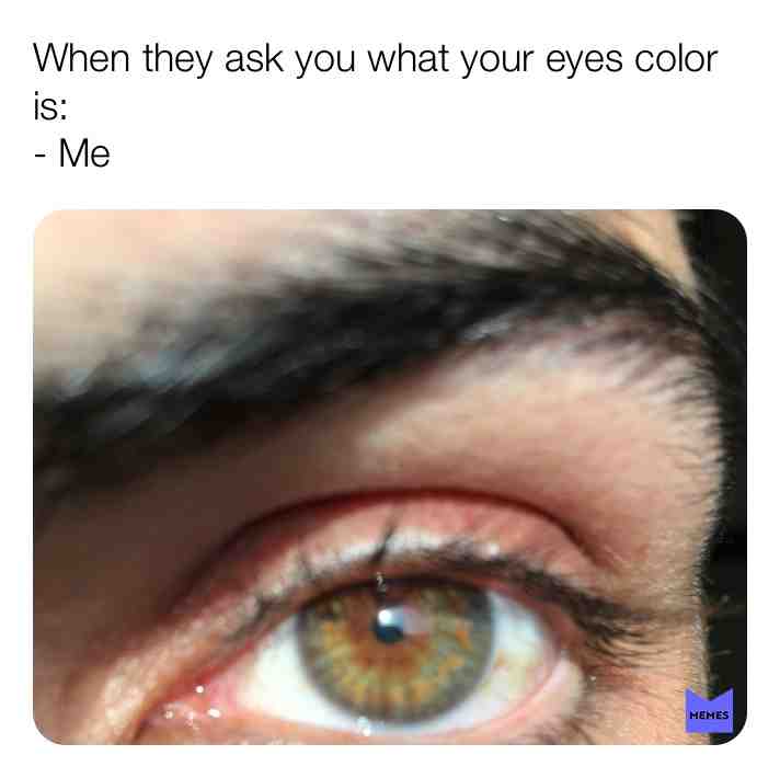 Meme shared by @Kaykayk