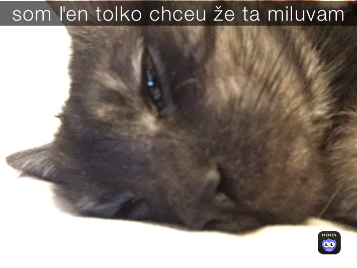 som ľen tolko chceu že ta miluvam