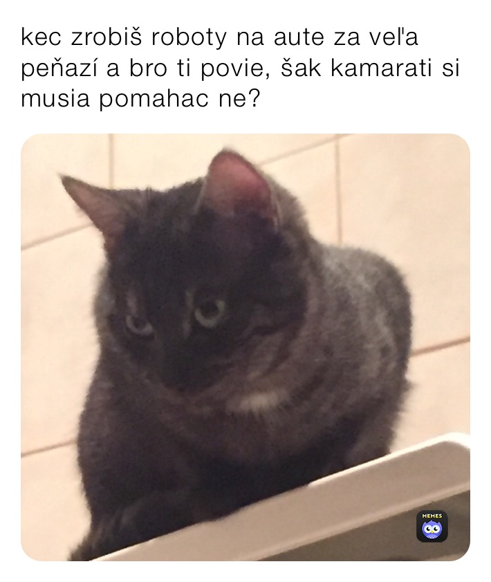 kec zrobiš roboty na aute za veľa peňazí a bro ti povie, šak kamarati si musia pomahac ne?
