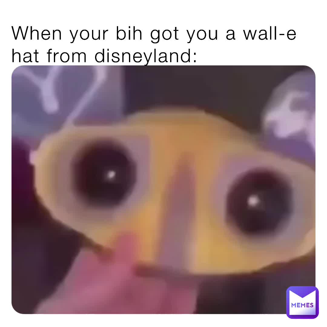 walle hat from disneyland