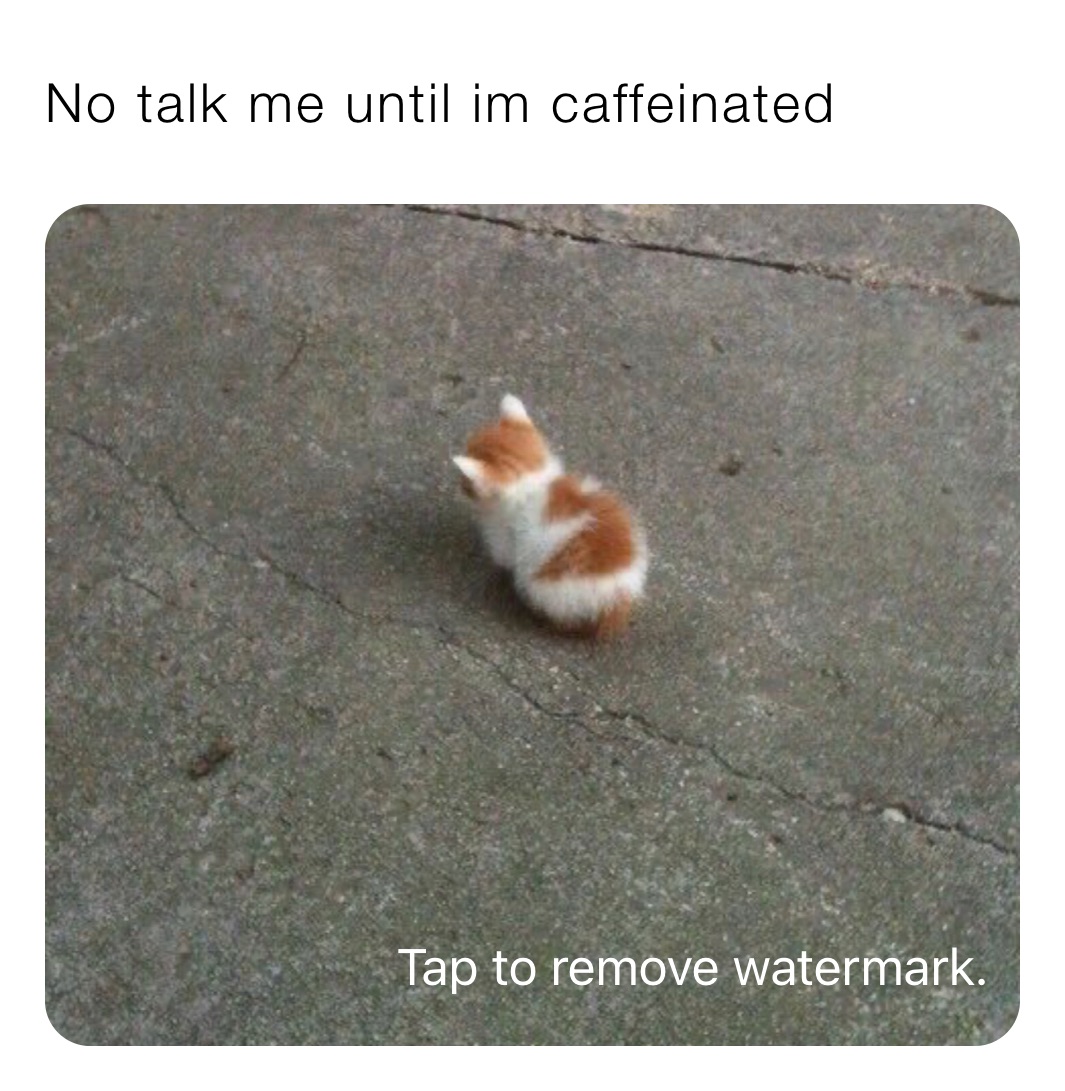 No talk me until im caffeinated