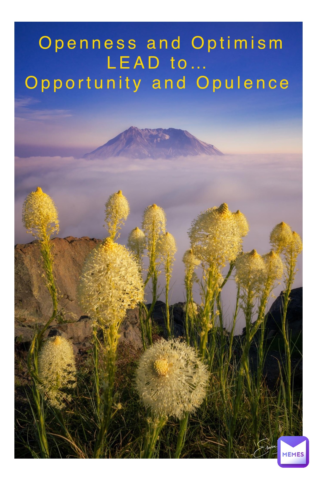 Openness and Optimism 
LEAD to…
Opportunity and Opulence