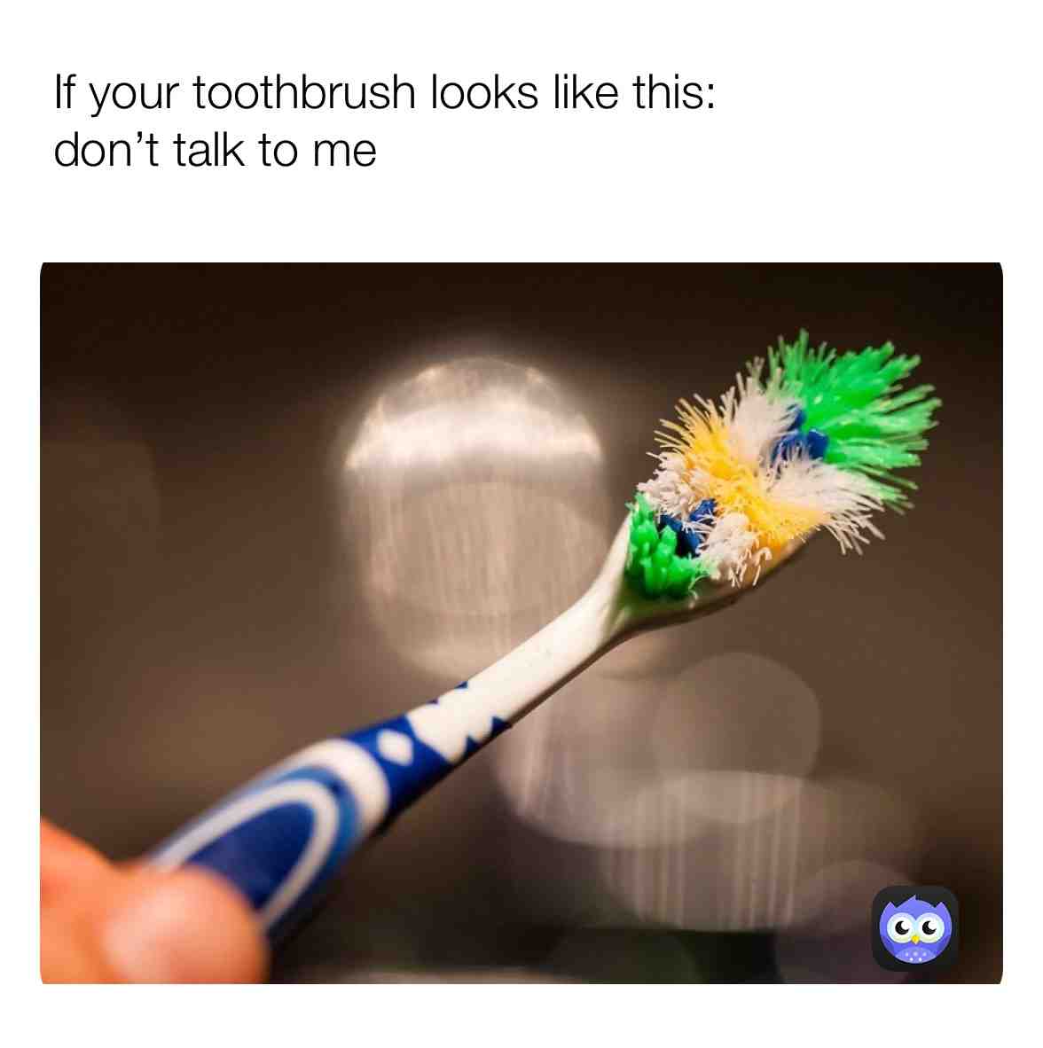 🥴😂 #memesdaily #meme #funny