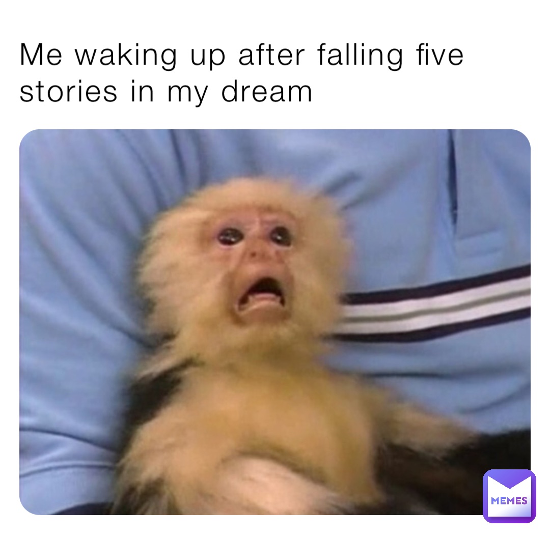 Meme by alex-lininger