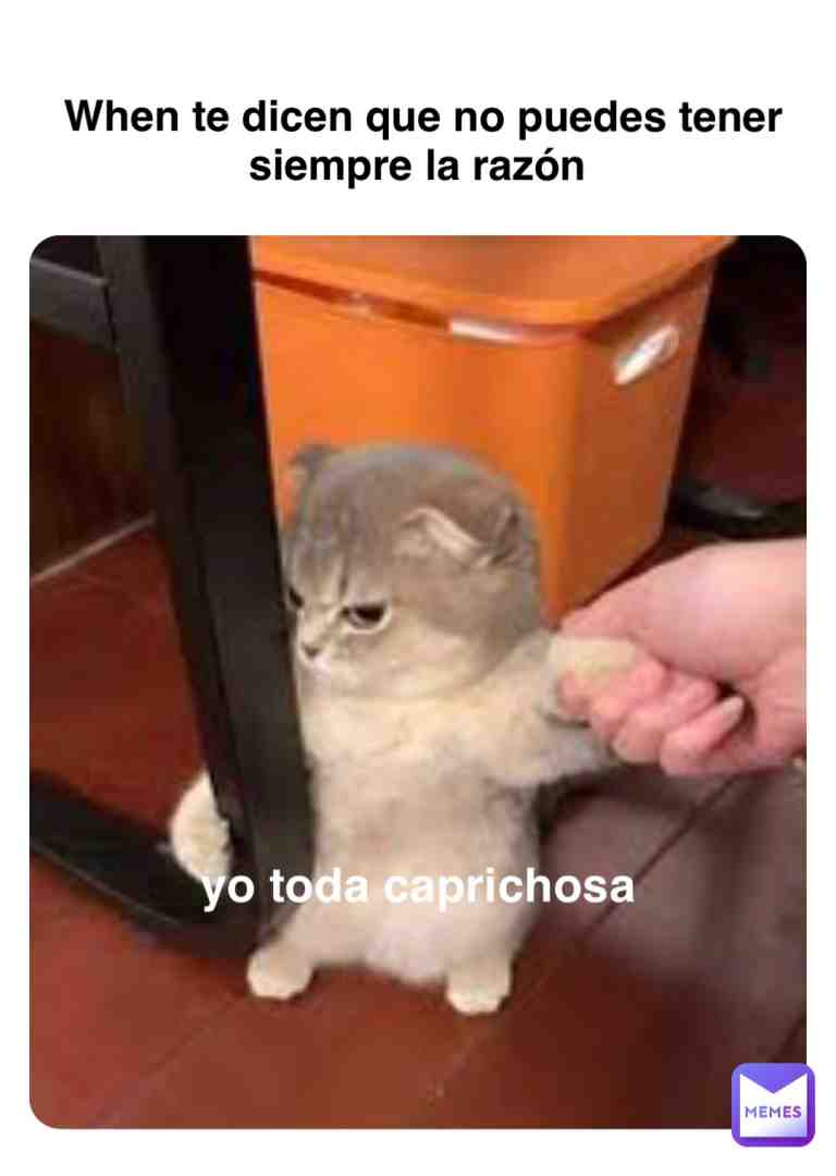 Meme preview
