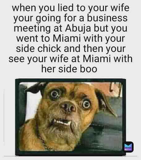 Meme shared by @jus_viks