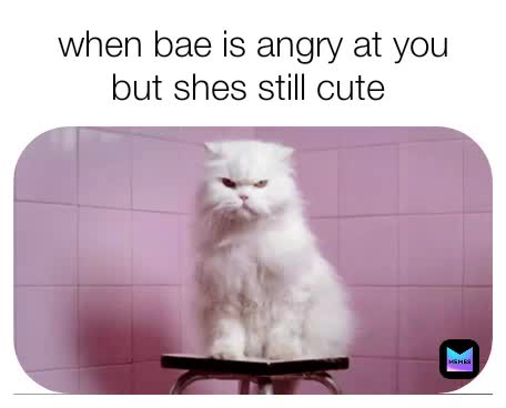Meme shared by @jus_viks