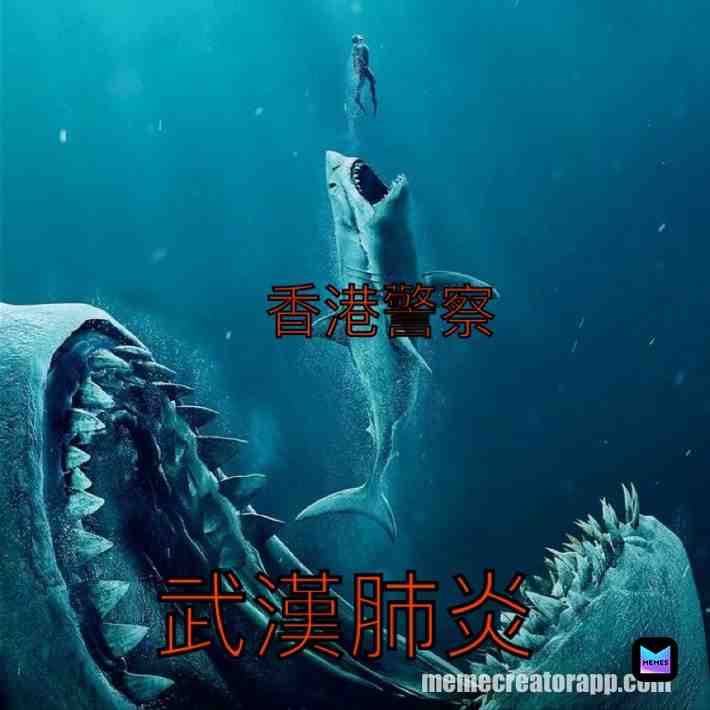 #turtle #thesimpsons #programmer #memes #programming #school #schoolmemes #food #batman #coronavirus #corona #spongebobmemes #coronavirusmemes #spongebob #pubg #gta #pubgmobile #animalmemes #gtameme #animals #kimjongun #wwe #kimjongundead #india #wwememes #china #hk #gun