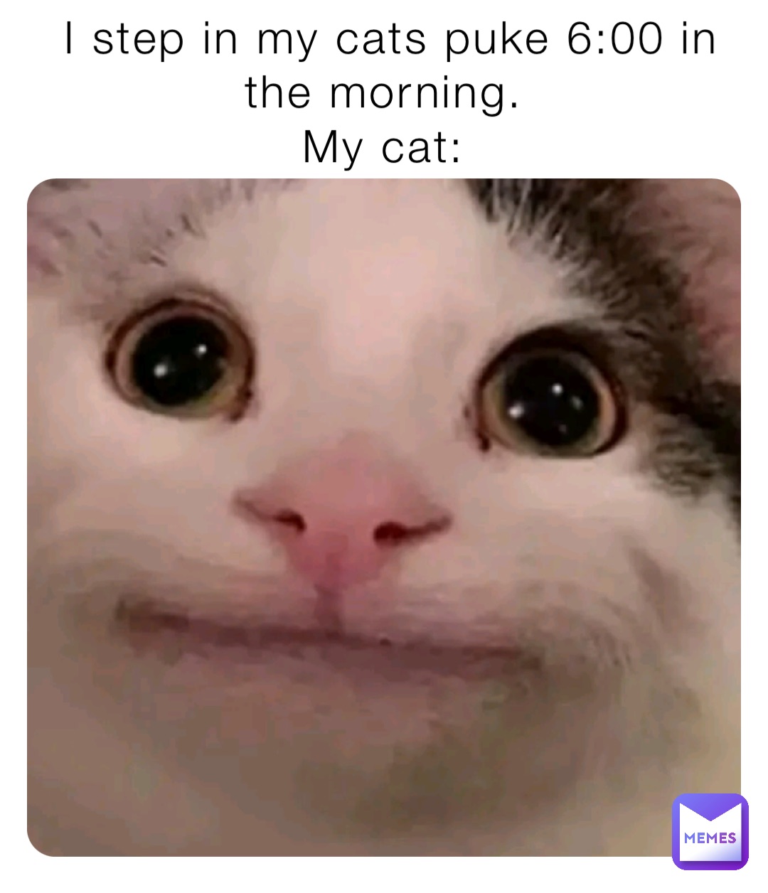 i-step-in-my-cats-puke-6-00-in-the-morning-my-cat-thatoneguy67-memes