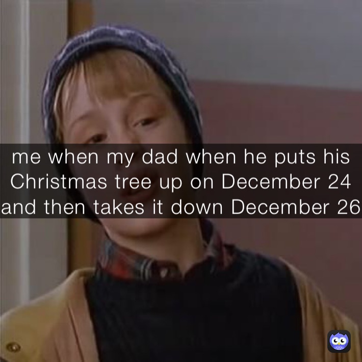 me when my dad when he puts his Christmas tree up on December 24 and then takes it down December 26 