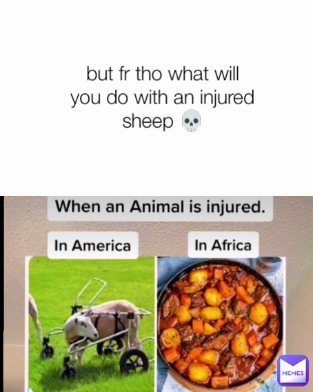 but fr tho what will you do with an injured sheep 💀