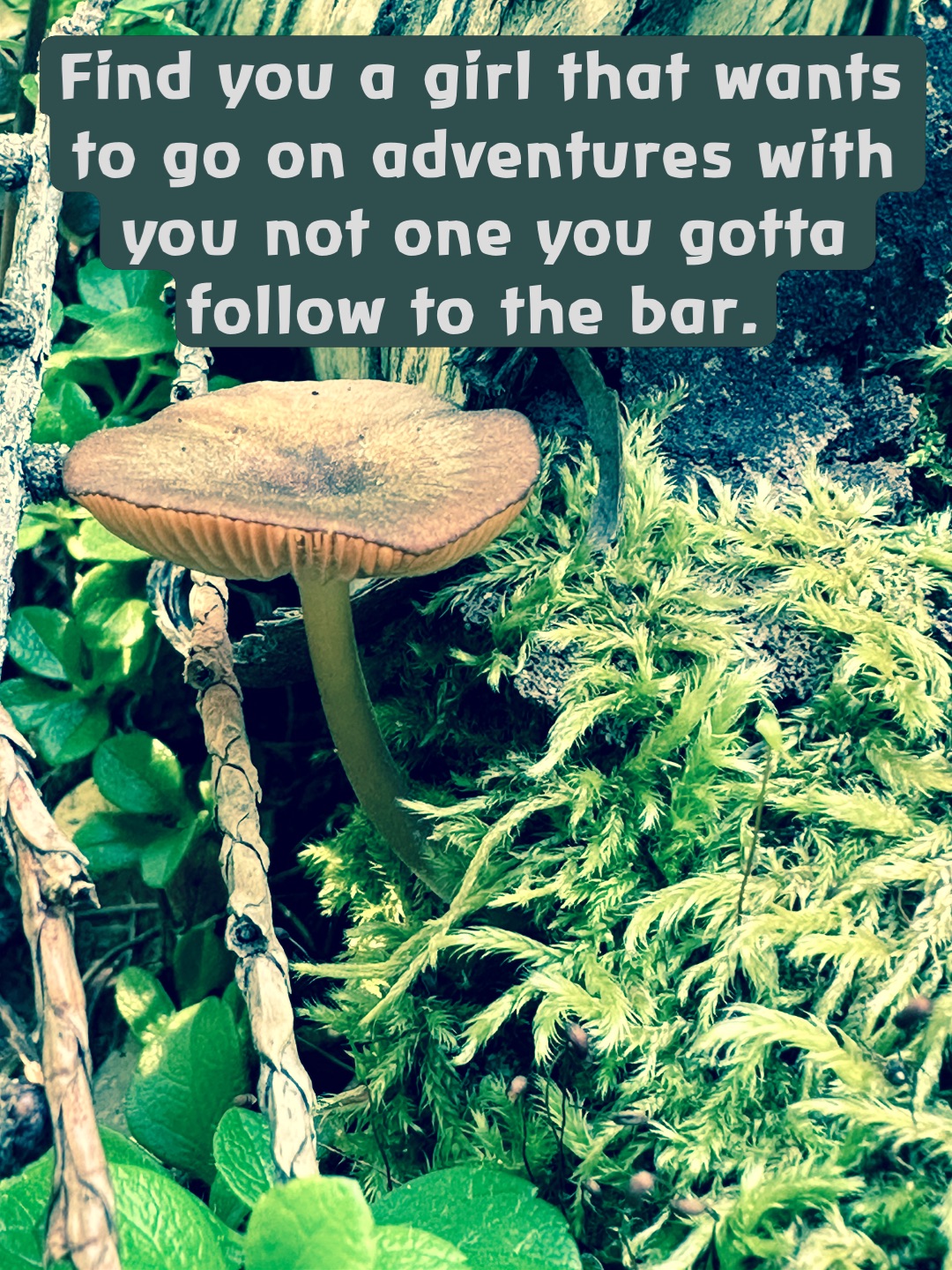 Find you a girl that wants to go on adventures with you not one you gotta follow to the bar. Double tap to edit