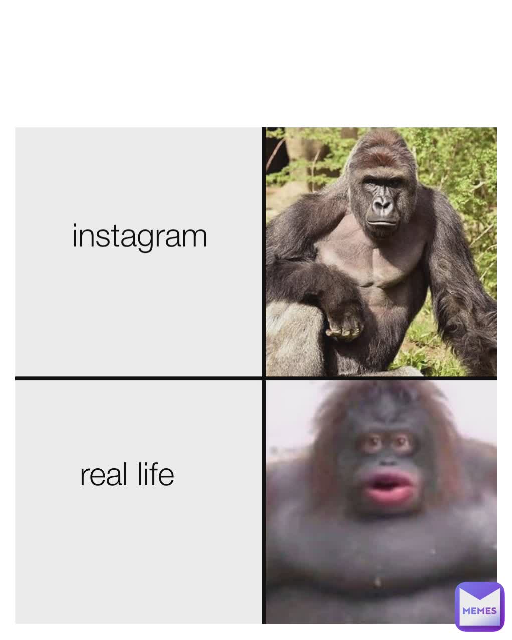 instagram
 real life