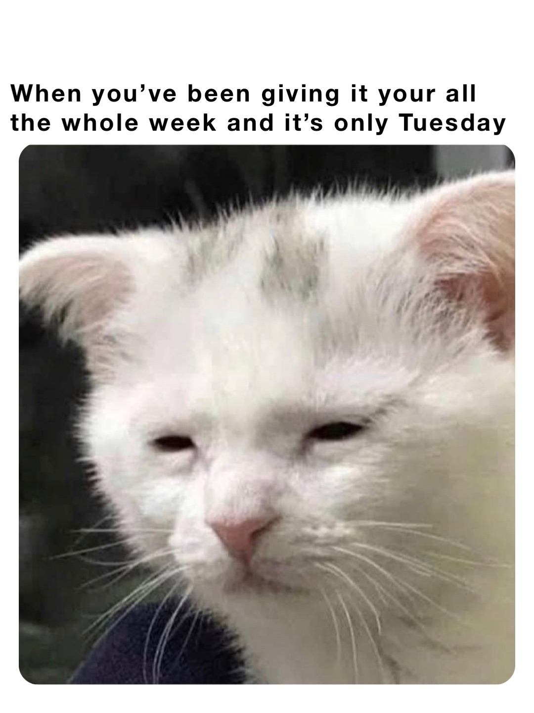 When you’ve been giving it your all the whole week and it’s only Tuesday