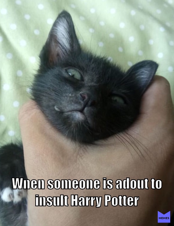 Meme by weirdsmymiddlename