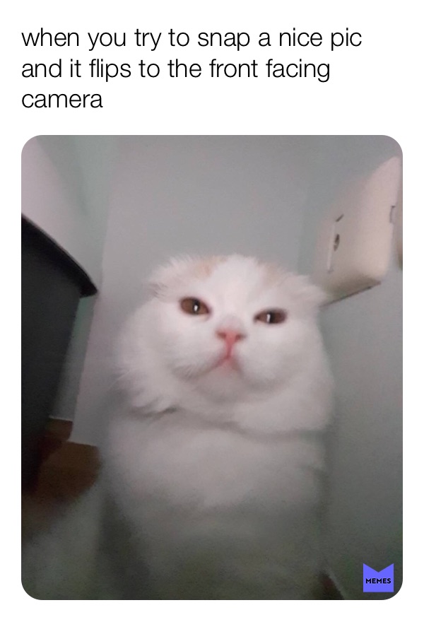 Meme by weirdsmymiddlename